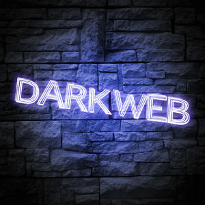 Darkweb-300