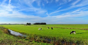Landbouw grondhandel Nederland