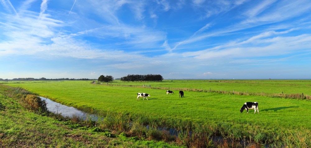 Landbouw grondhandel Nederland