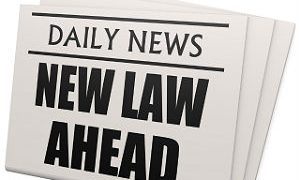 Newlaw-300
