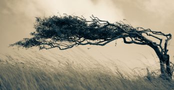 Resilience