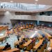 Tijdelijke Tweede Kamer-2022-ANP